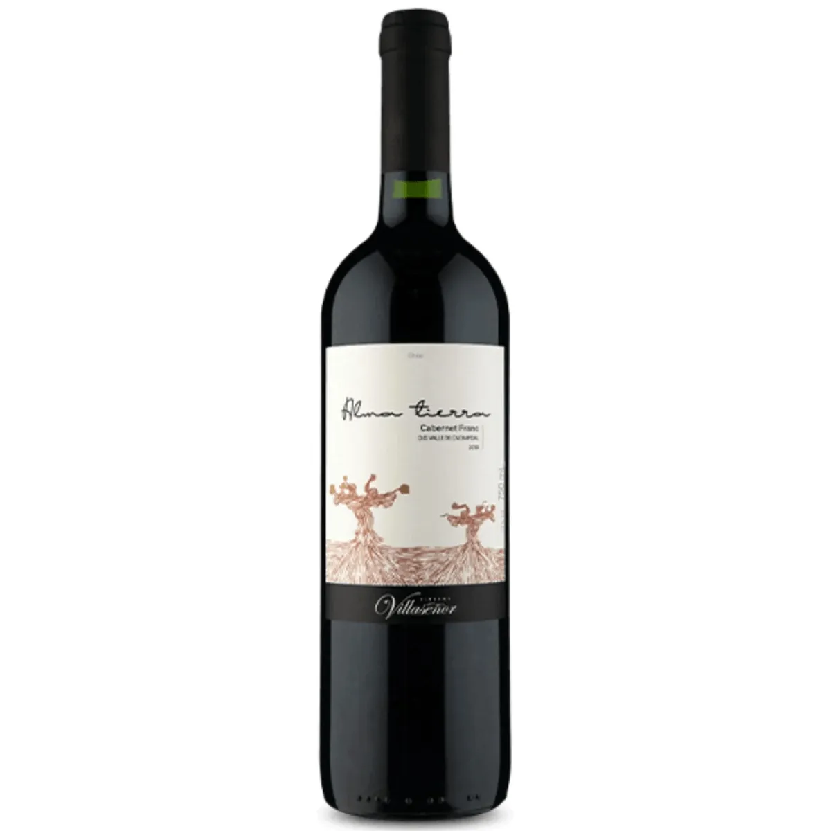 VINHO ALMA TIERRA CARIGNAN 750ML
