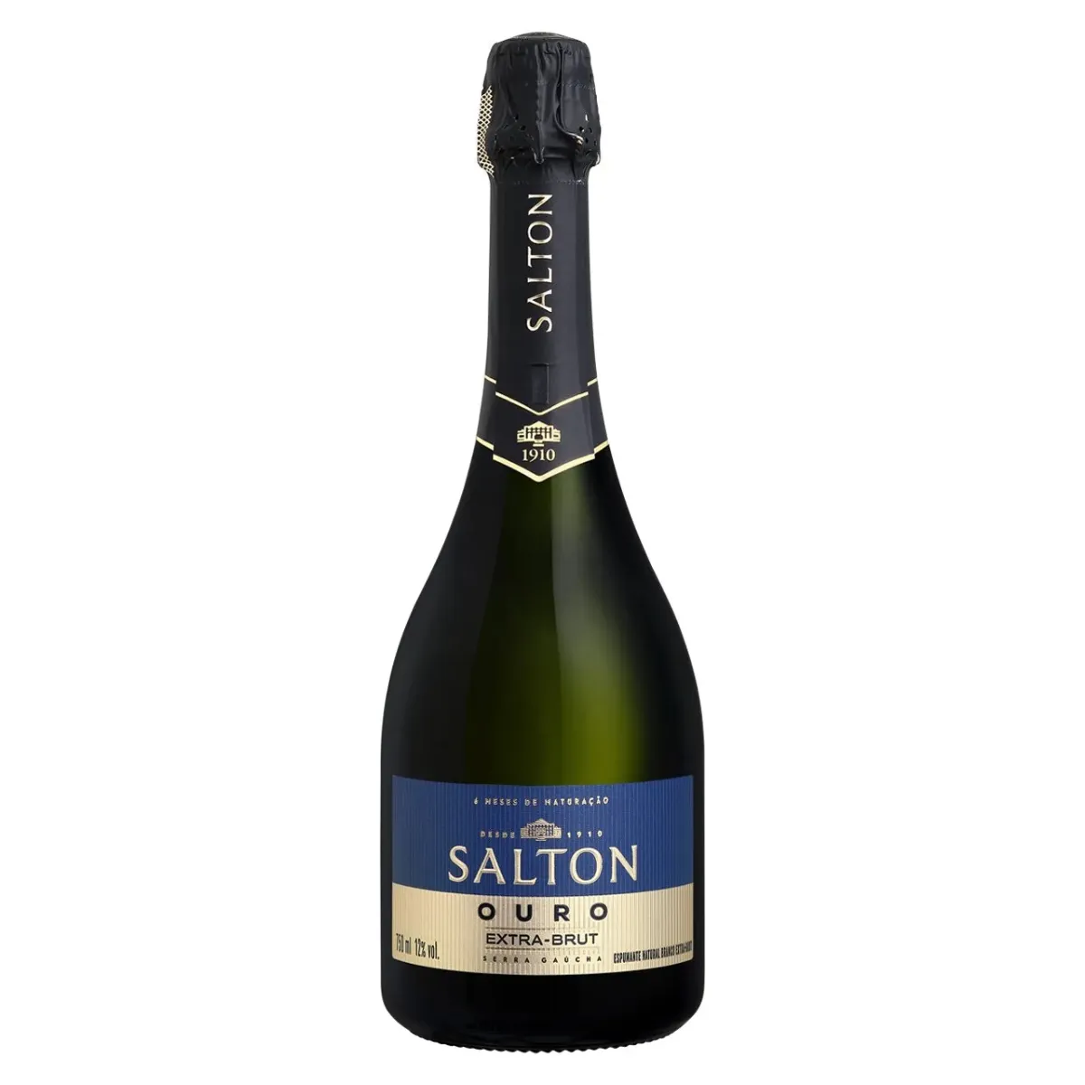 ESPUMANTE SALTON EXTRA BRUT OURO 750ML
