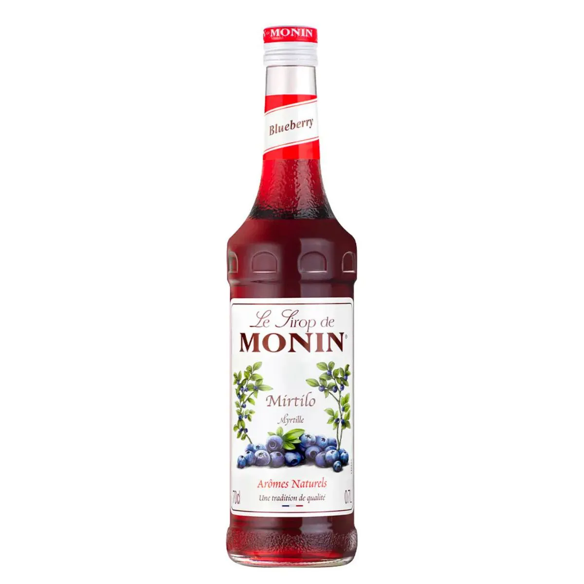 XAROPE DE MIRTILO (BLUEBERRY) MONIN 700ML