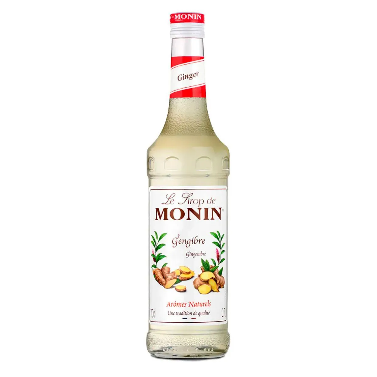 XAROPE DE GENGIBRE MONIN 700ML