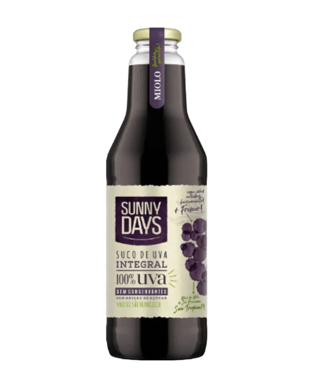 SUCO DE UVA TTO SUNNY DAYS 300ML